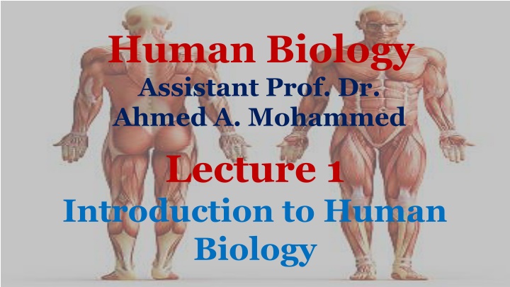 human biology assistant prof dr ahmed a mohammed n.w