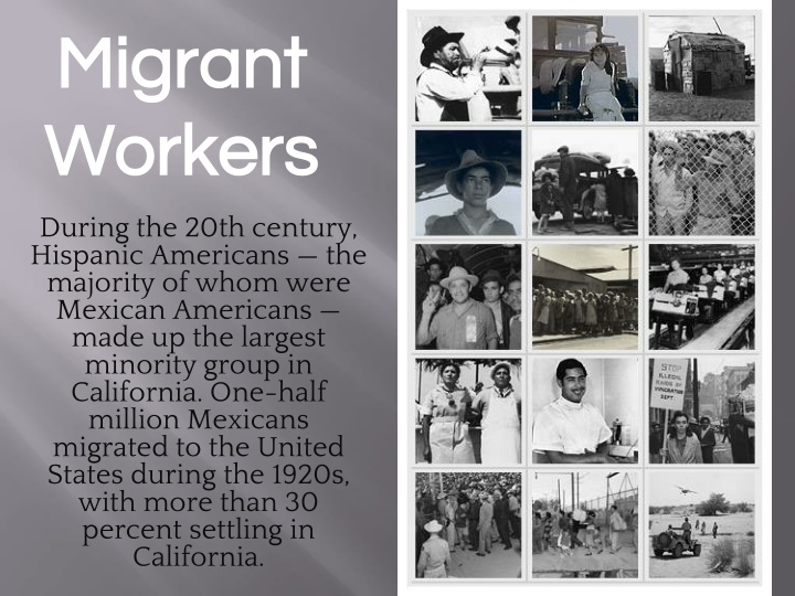 migrant migrant workers workers n.w