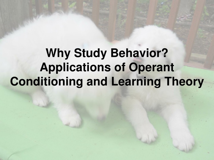 why study behavior applications of operant n.w
