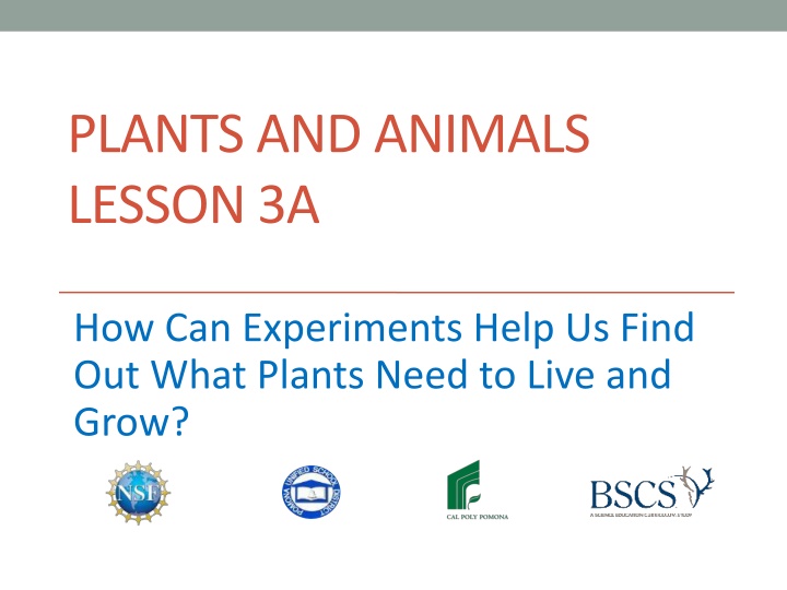 plants and animals lesson 3a n.w