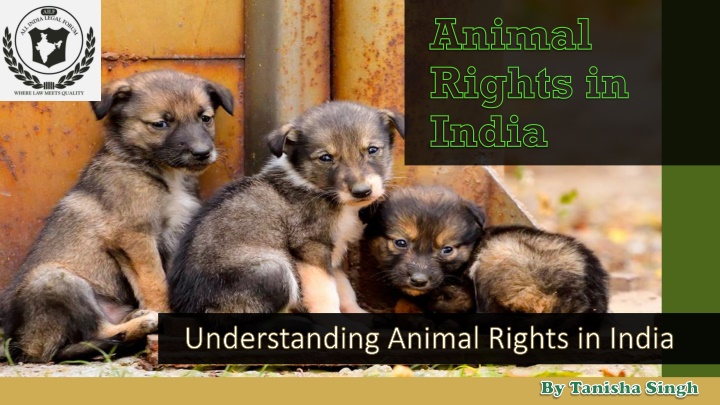 animal rights in india n.w