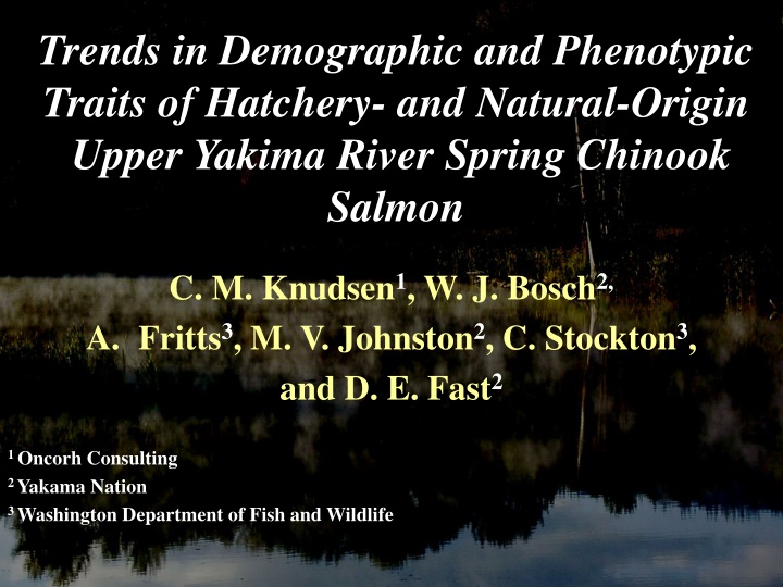 Trends in Demographic and Phenotypic Traits of Upper Yakima River Spring Chinook Salmon