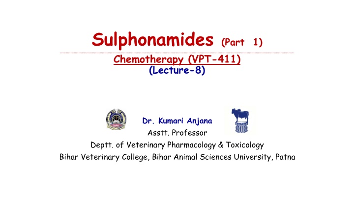sulphonamides part 1 chemotherapy vpt 411 lecture n.w