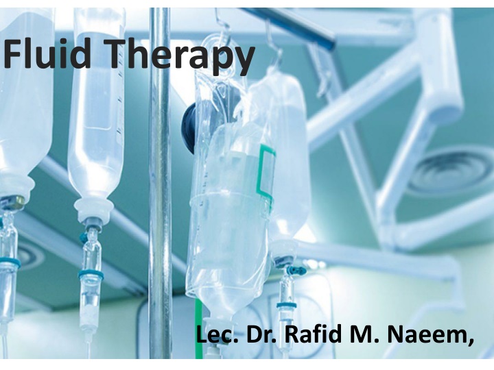 fluid therapy n.w