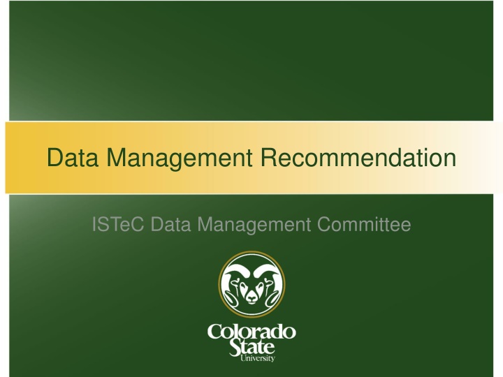 Insights into Data Management Challenges and Strategies