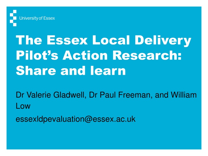 the essex local delivery pilot s action research n.w