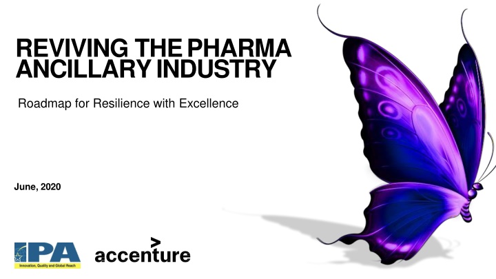reviving thepharma ancillaryindustry n.w