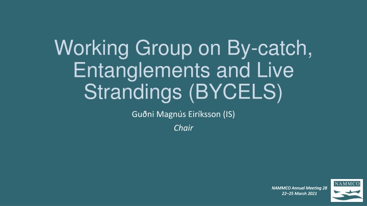 working group on by catch entanglements and live n.w