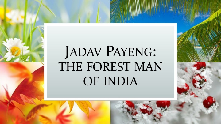 j adav p ayeng the forest man of india n.w