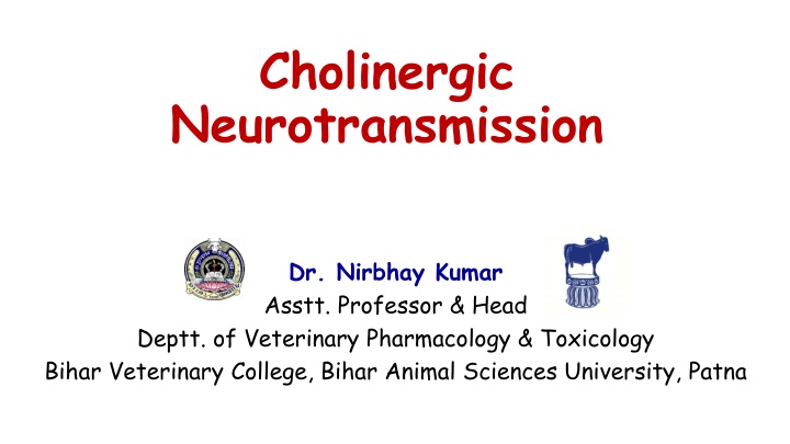 cholinergic neurotransmission n.w