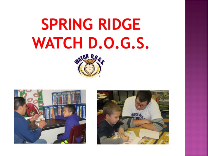 spring ridge watch d o g s n.w