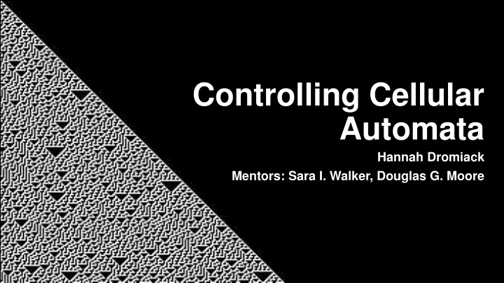 controlling cellular automata n.w