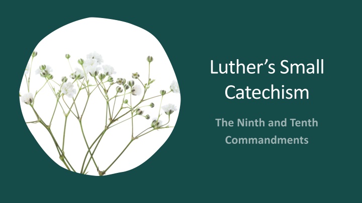 luther s small catechism n.w