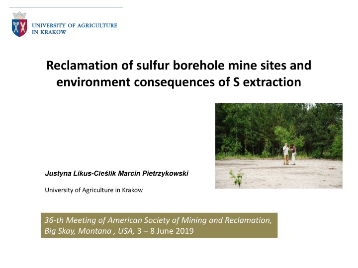 reclamation of sulfur borehole mine sites n.w