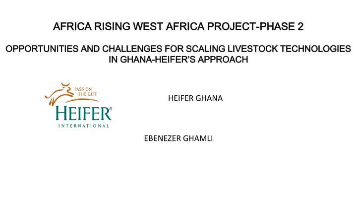 africa rising west africa project africa rising n.w