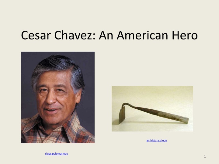 cesar chavez an american hero n.w