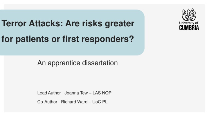 terror attacks are risks greater n.w