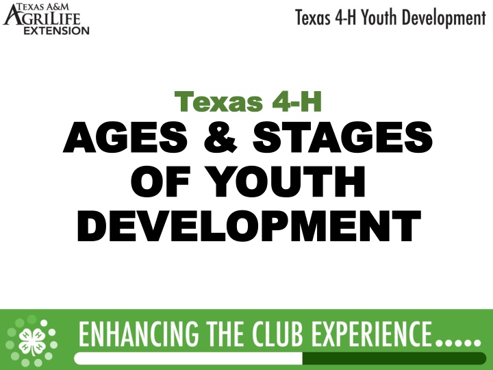 texas 4 texas 4 h h n.w