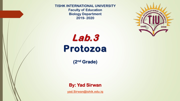 tishk international university faculty n.w