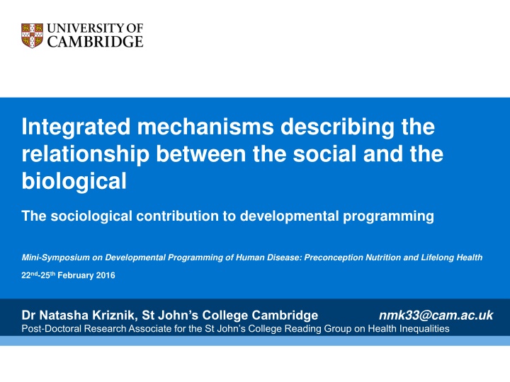 integrated mechanisms describing the relationship n.w