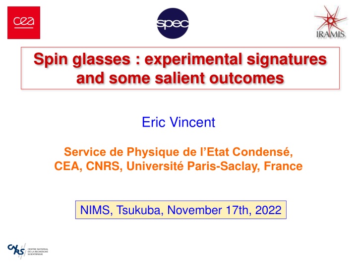 spin glasses experimental signatures and some n.w