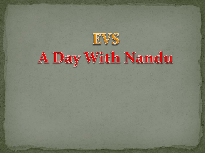 slide1 n.w