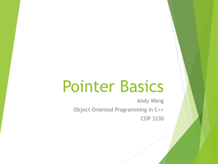 pointer basics n.w