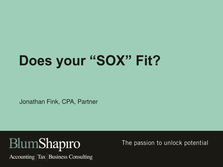 jonathan fink cpa partner n.w