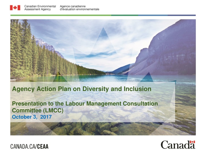 agency action plan on diversity and inclusion n.w