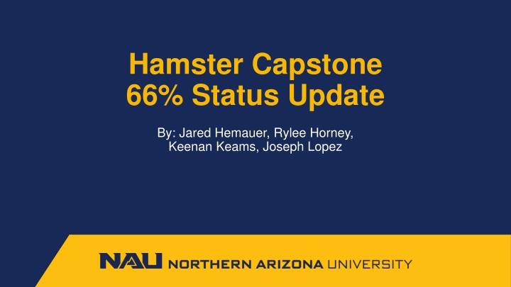 hamster capstone 66 status update n.w