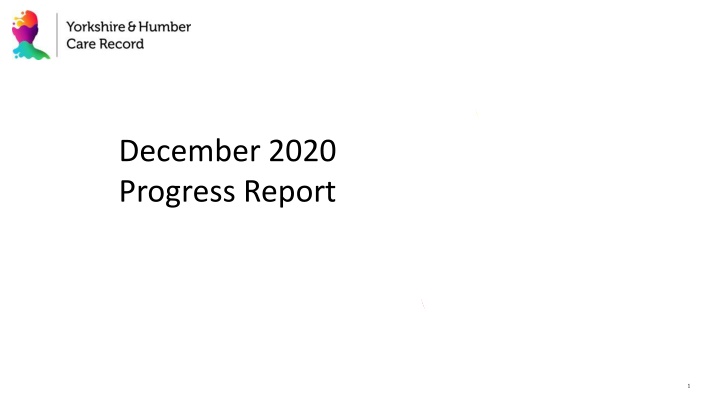 december 2020 progress report n.w