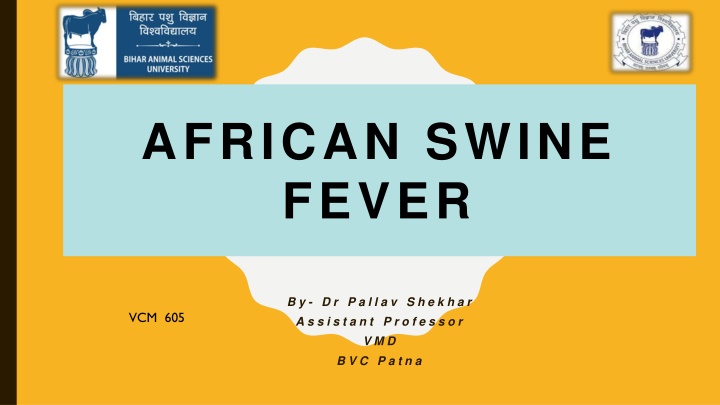 african swine fever n.w