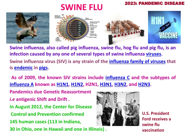 2023 pandemic disease 2023 pandemic disease n.w