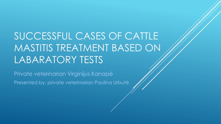 successful cases of cattle mastitis treatment n.w
