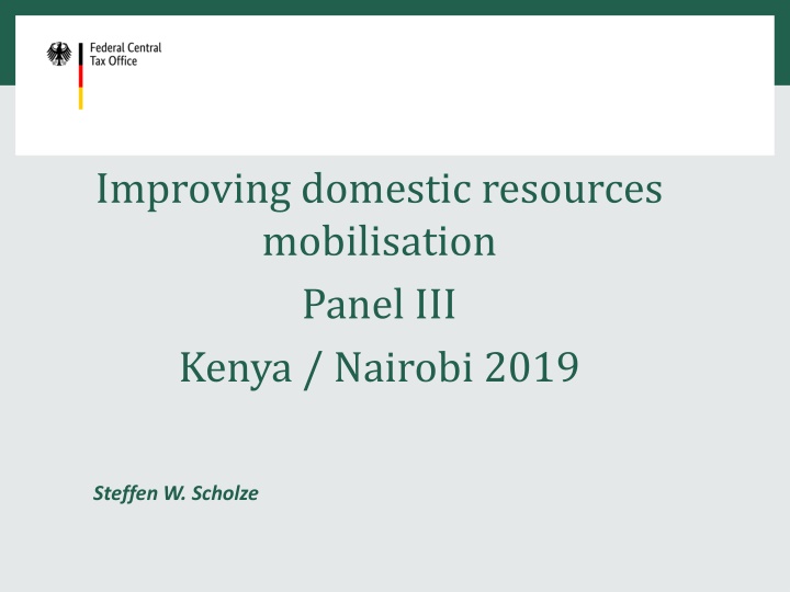 improving domestic resources mobilisation panel n.w
