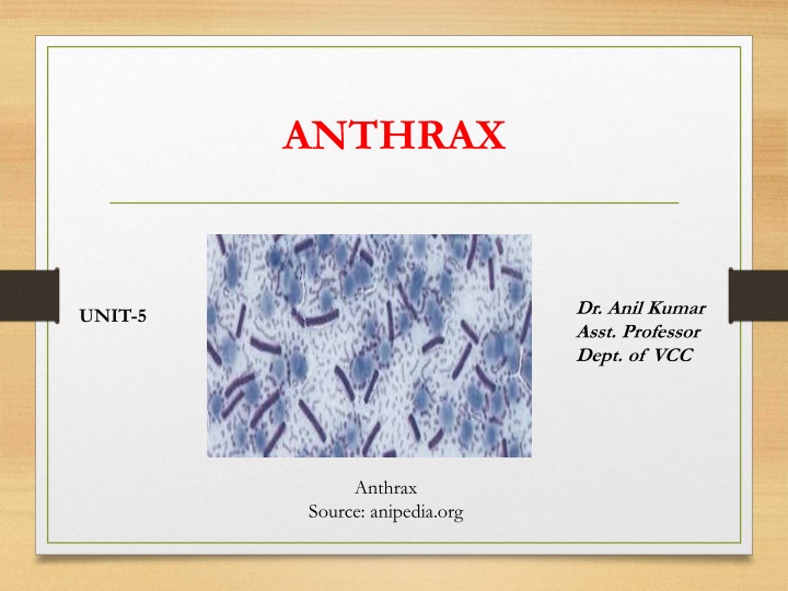 anthrax n.w