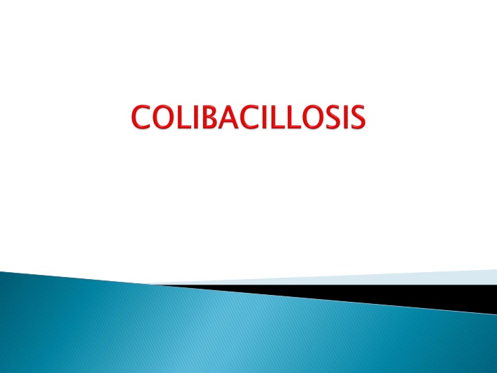 slide1 n.w