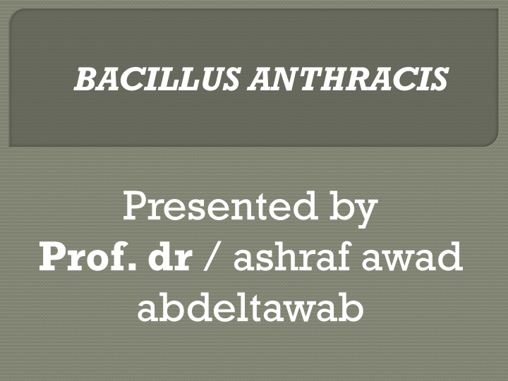 bacillus anthracis n.w