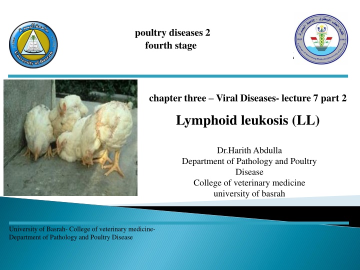 poultry diseases 2 fourth stage n.w