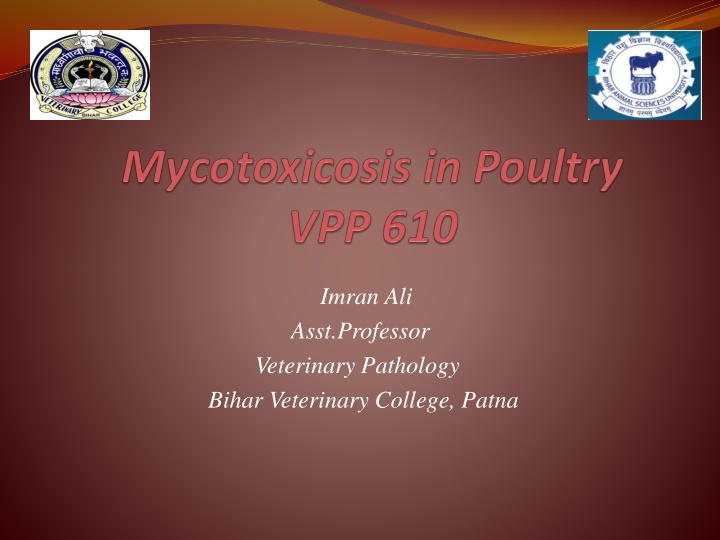 imran ali asst professor veterinary pathology n.w