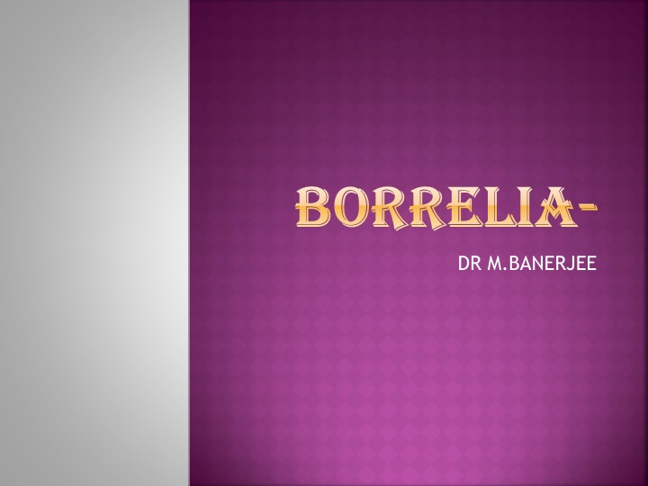 borrelia borrelia n.w