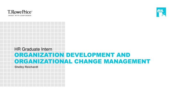 hr graduate intern organization development n.w