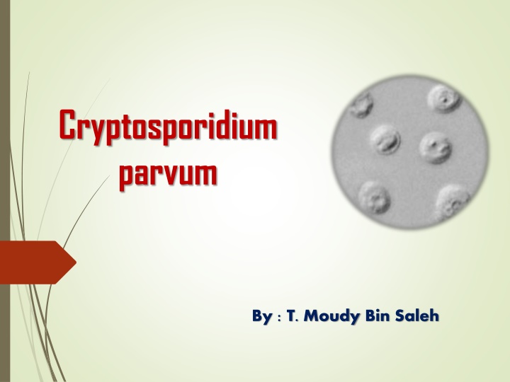 cryptosporidium parvum n.w