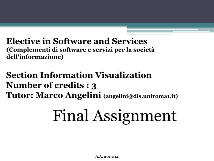 elective in software and services complementi n.w