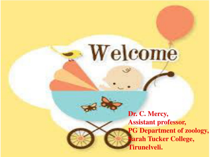 dr c mercy assistant professor pg department n.w