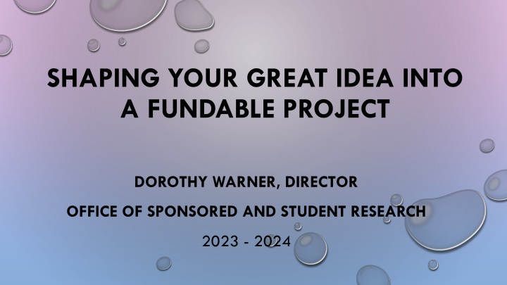 shaping your great idea into a fundable project n.w
