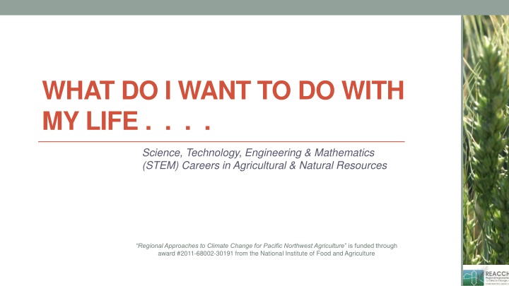 what do i want to do with my life n.w