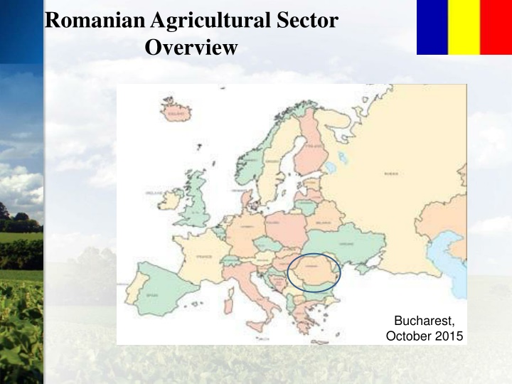 romanian agricultural sector overview n.w