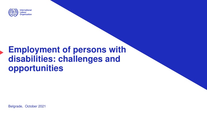 employment of persons with disabilities n.w