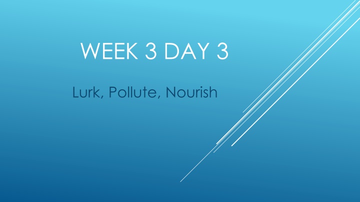 week 3 day 3 n.w